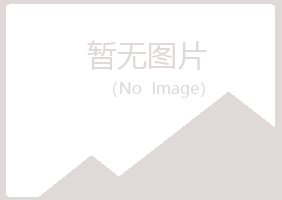 夏河县匆匆保险有限公司